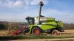 Claas Tucano 320 beim Maisdrusch